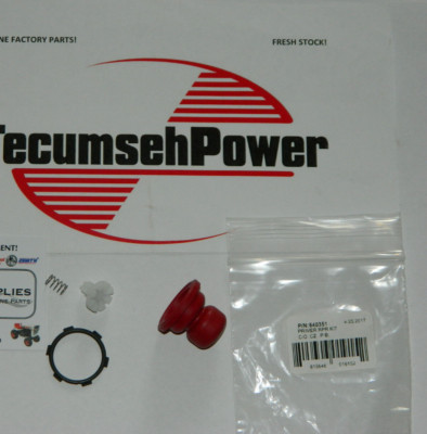 SCOOTER CARBURATORE KIT Guarnizione Primer Lampadina Ricambi Professionale 126731418060