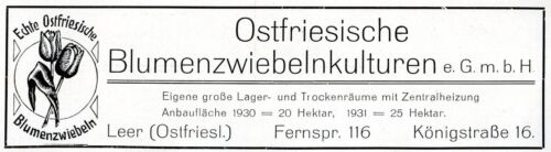 Ostfriesische Blumenzwiebelkulturen e.G.m.b.H. Leer Historische Reklame von 1932 - Bild 1 von 1