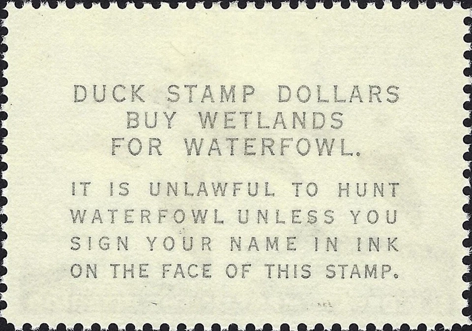 US Scott #RW32 Mint Lightly Hinged XF 3.00 1965 US Federal Duck Stamp CV 100.00 - Image 2 of 2