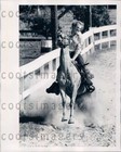 1975 Wire Photo Great Action Shot Horse & Rider Horse Show Manatee County Fl