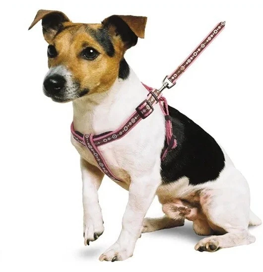 Ancol simply clearance comfortable dog harness