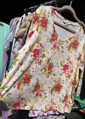 1X/2X/3X New Pioneer Woman Blue Red Roses Floral Print Tee Shirt Top Tunic Pink