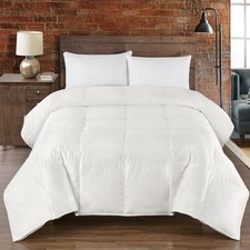 Silk Goose Down Comforter Heavy 450 Thread Count Extra Warmth Winter Weight