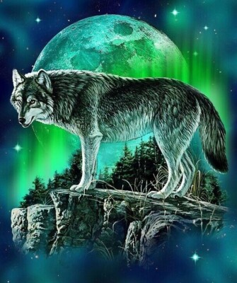 New Northern Lights Wolf Plush Fleece Throw Gift Blanket Sherpa Green Sky Moon