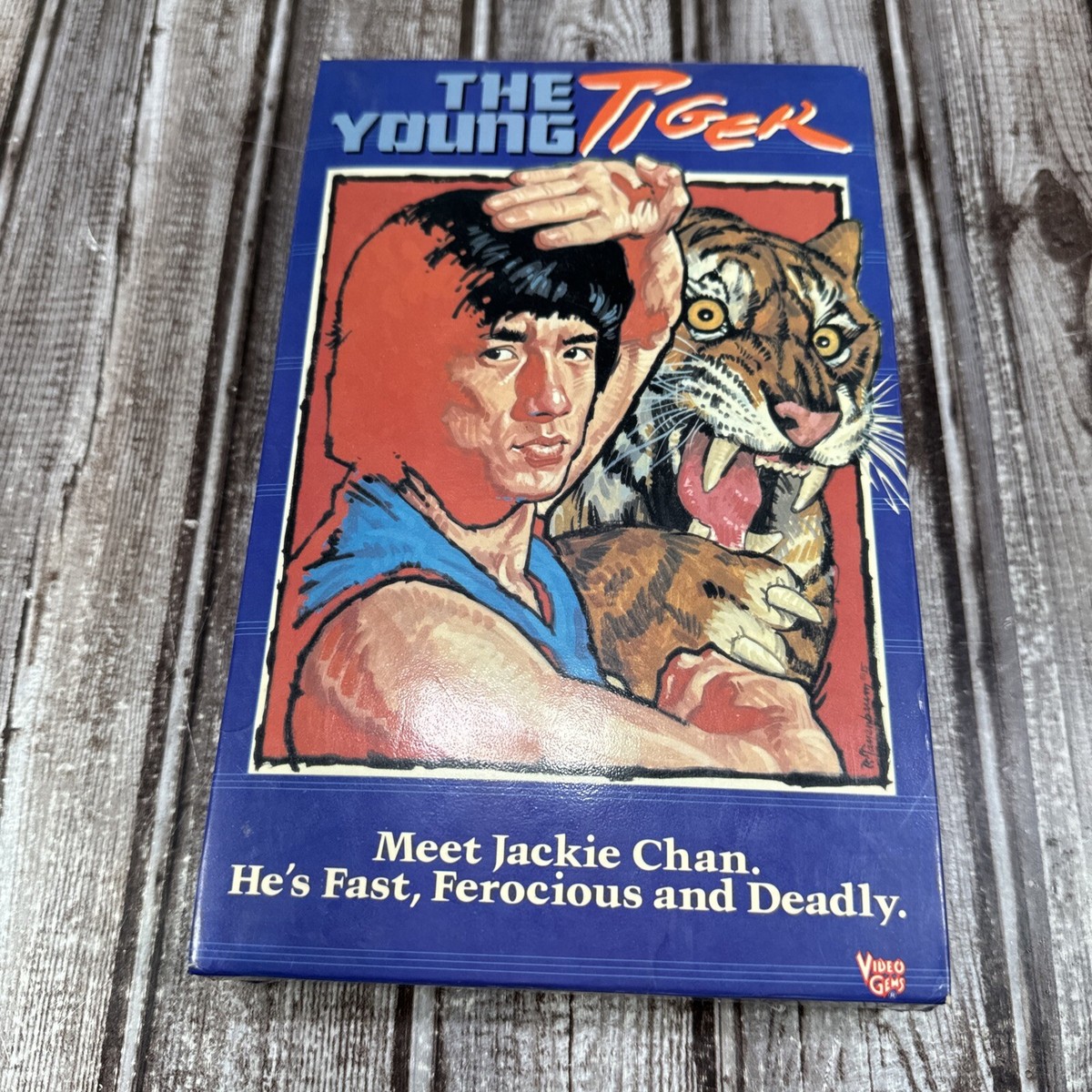 ゴルフ レッスン ビデオ VHS デビット ・ レッドベター 3本セット 世界に学ぶザ・ゴルフレッスン デビッド・レッドベター② VHS