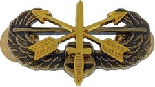 US Army Air Assault SF Special Forces Antique GOLD Wings Pin Badge Rear Insignia