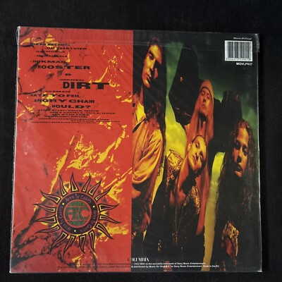 Alice In Chains : Dirt (2009) - MUSIC ON VINYL pressing : RARE