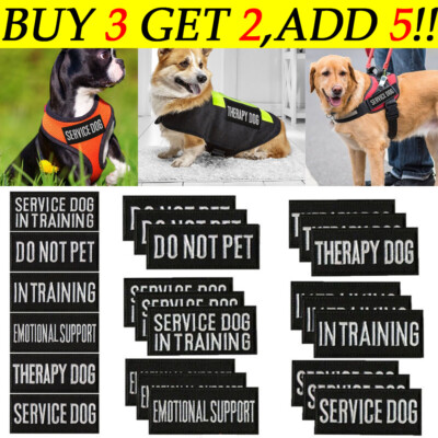 Service Dog Patches for Harness Vest Removable Dog Vest Patches in  Training UK