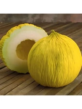 40 Heirloom Golden Beauty Casaba Melon Seeds - Super Sweet Golden Melon
