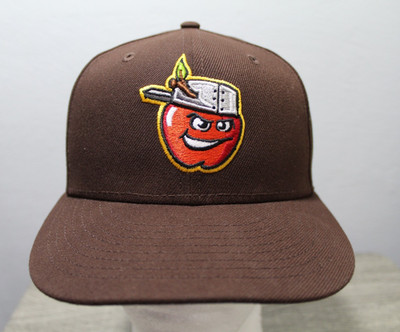 TEAM ISSUE 2025 New Era 59fifty Fort Wayne TinCaps Brown Sunday Alternate 7 1/8
