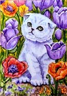 Aceo Original Painting Ooak - Scottish Fold Kitten- Cat - Bartshe