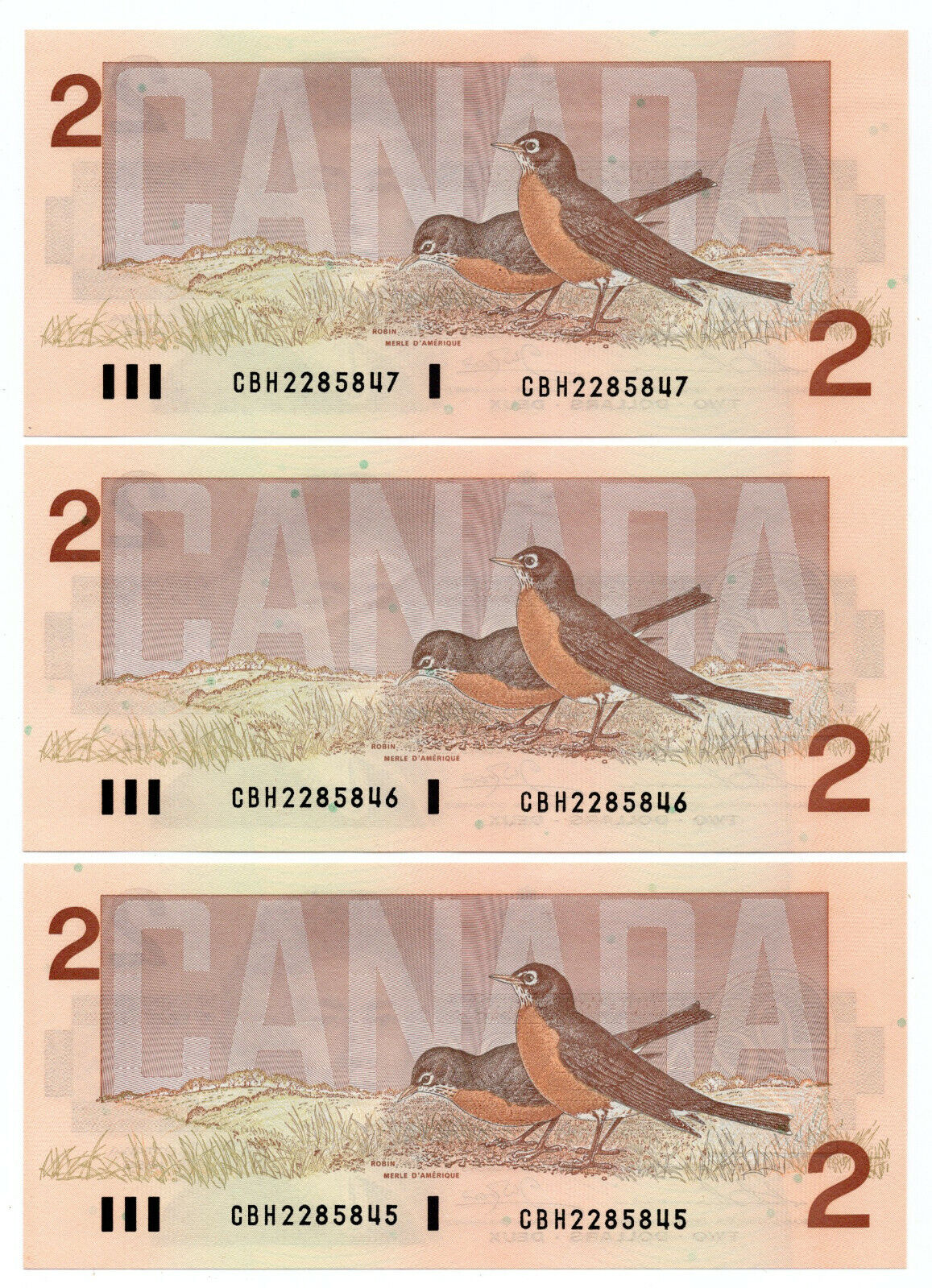Bank of Canada 1986 $2 Two Dollars Lot of 3 Consecutive Notes CBH UNC