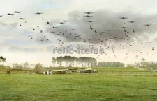 WW2 PICTURE PHOTO US D-DAY PARATROOPS JUMP AND GLIDERS ON GROUND 6931