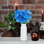 Bild 6 von 12