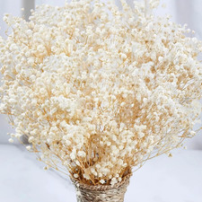 2000 Dried Babys Breath Flowers Bulk - 17" Ivory White Dried Flower Bouquet, Re