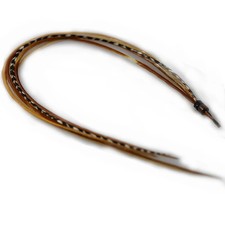 Natural Beige and Brown Feather Hair Extension - Ranging from 8 to 12 Inches, Se