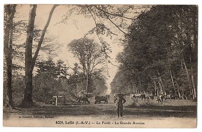 CPA 35 - LAILLE (Ille et Vilaine) - 4009. Der Wald. La Grande Avenue (animiert, tr