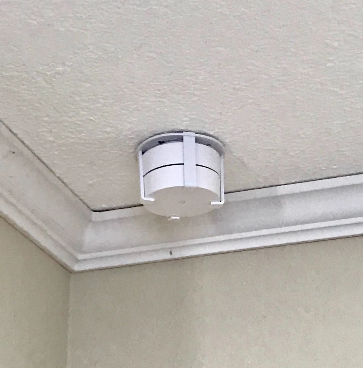 Google wifi cheap plaster walls