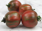 Schwarze Vernissage Tomate 10+ Samen Erbstck ertragreiche Raritt P 444