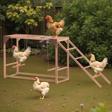 Chicken Perch with 2 Chicken Swings, Ramp, Chicken Perches Toys for Pet