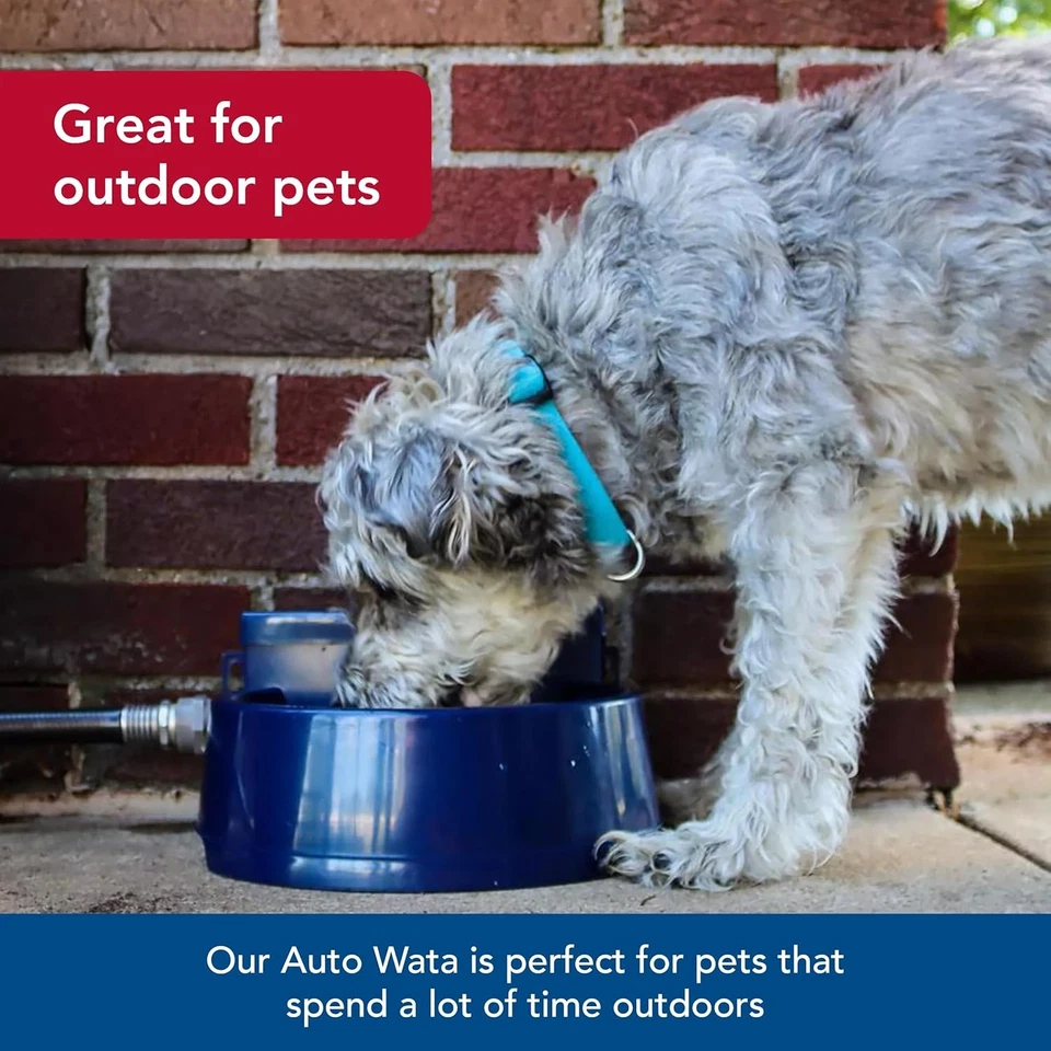 Coastal Pet Bergan Auto-Wata - Água externa para cães e gatos 4,75 lb, azul  - Imagem 4 de 4