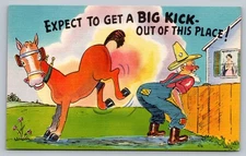 c1930 Expect To Get A Big Kick Peeping Top Humor Linen Vintage Postcard