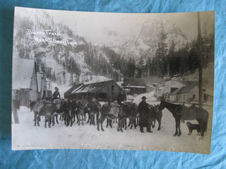1880s Ouray County Burro Train Mount Sneffles Town Colorado Original Photo Print