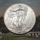 2010 American Silver Eagle 🇺🇸