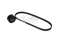 Original Keilrippenriemensatz für Renault Twingo II 7701478933