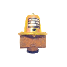 Bell & Gossett 110195LF