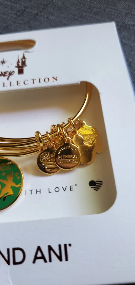 NOVO Conjunto de Pulseira Alex and Ani Peter Pan Never Grow Up Jolly Roger Parques da Disney - Imagem 4 de 4