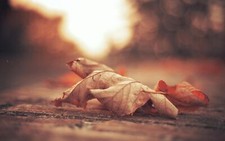 Landscape fall leaves blurred bokeh depth of field Custom Gaming Mat Desk