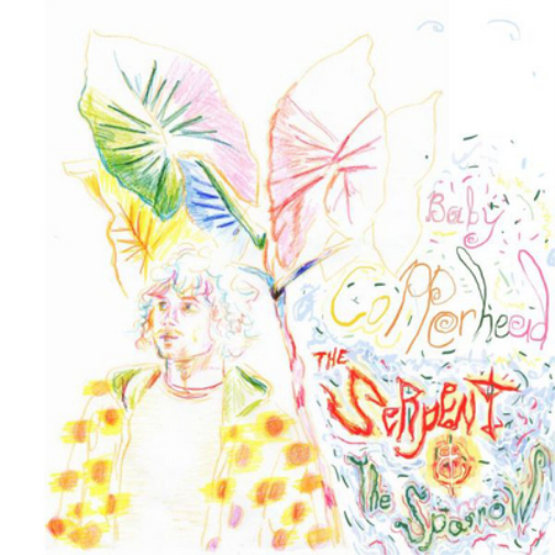 Baby Copperhead The Serpent and the Sparrow (CD) Album