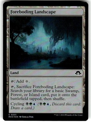 Foreboding Landscape Modern Horizons 3 Foil MTG NM