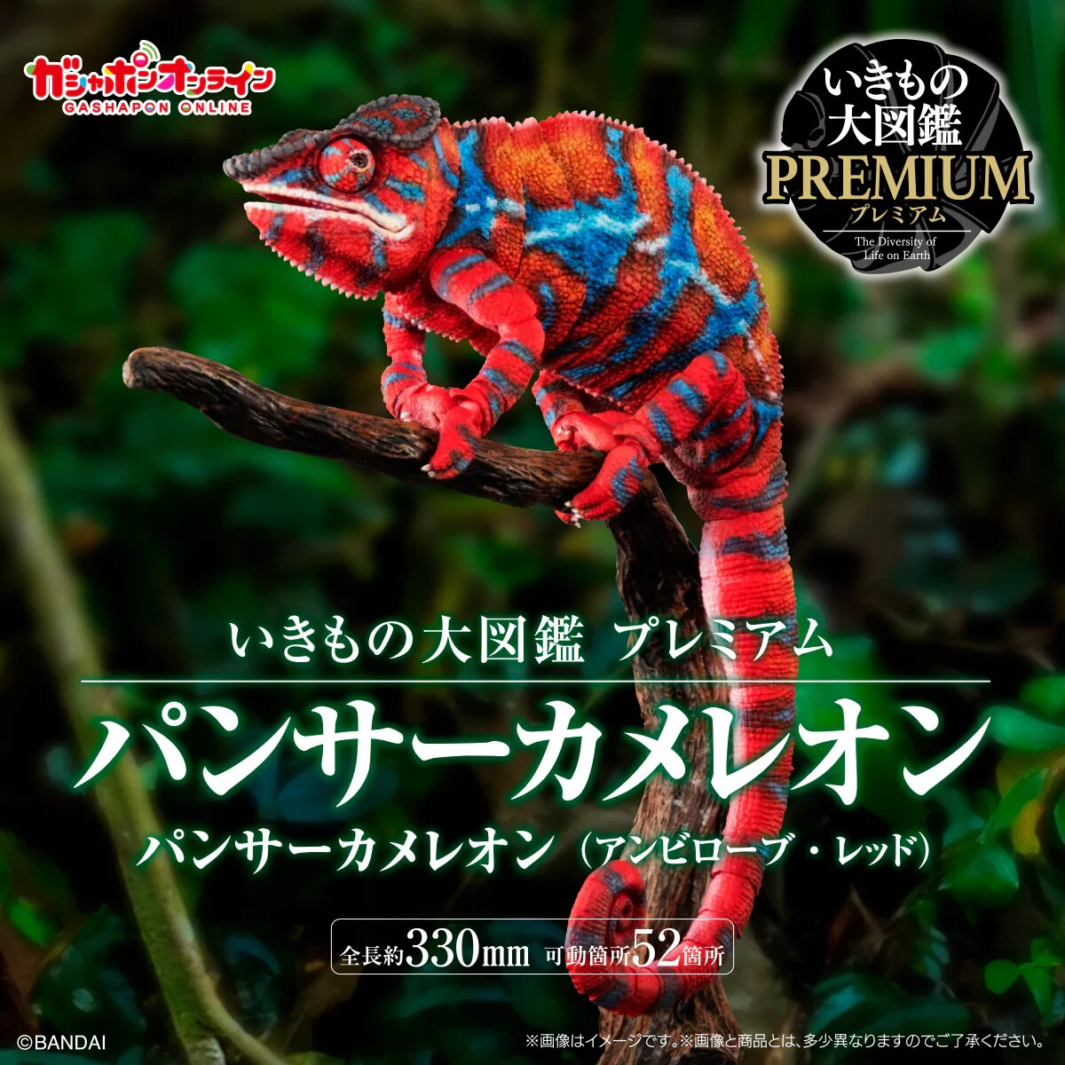 The Diversity of Life Panther Chameleon (Ambilobe Red Ver.) Action