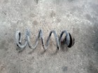Foto 1 di 12