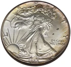 1988 American Silver Eagle 1 oz .999 Fine Silver Dollar Coin Toned