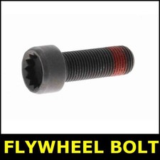 Flywheel Bolt FOR PORSCHE 911 991 3.0 3.4 3.8 11->19 Petrol
