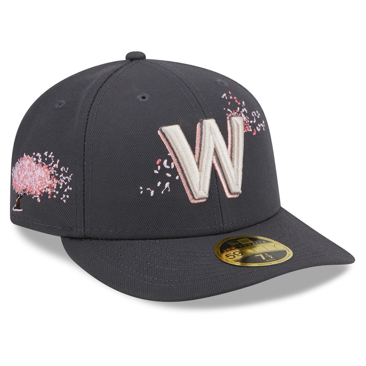Men's New Era Graphite Washington Nationals 2022 City Connect Low