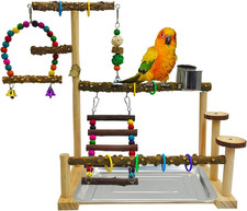 Parrot Play Stand Parakeet Playground Bird Jungle Gym Wood Conure Playstand Hang