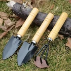 3PCS Mini Garden Tool Set Hand Trowel Transplanting Rake Succulent Planting Kit.