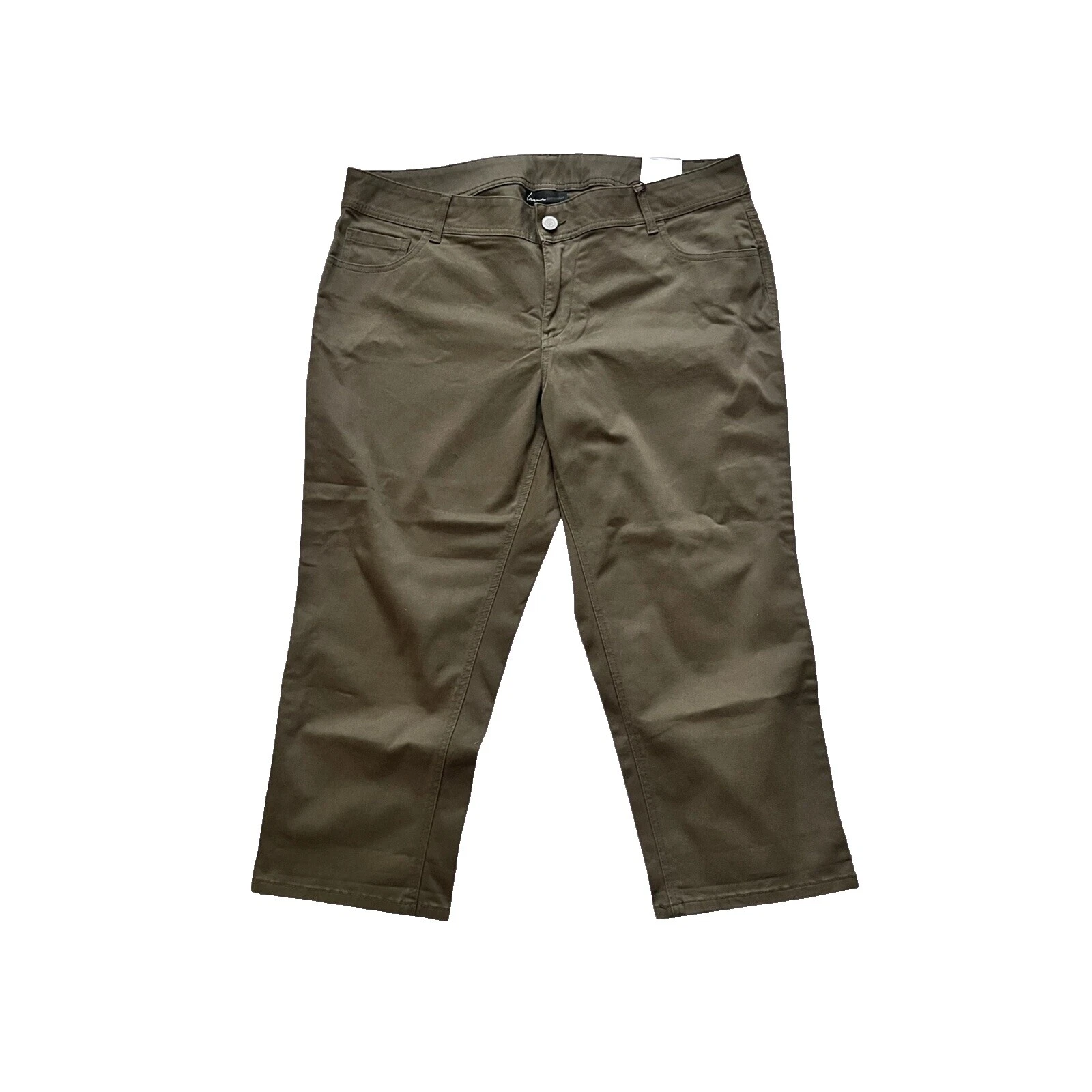 La mujer Lane Bryant recortada