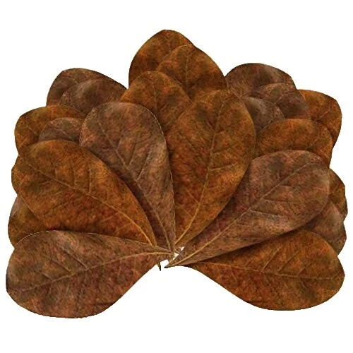 Fresh Water Fish Health Care Supplies