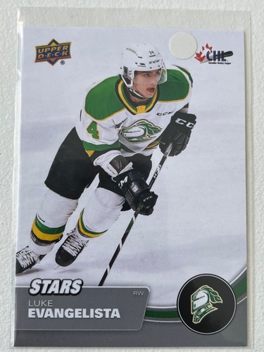 2021-22 UD CHL Base Stars / Star Rookies #301 to #449 Pick From List !! - Picture 8 of 134