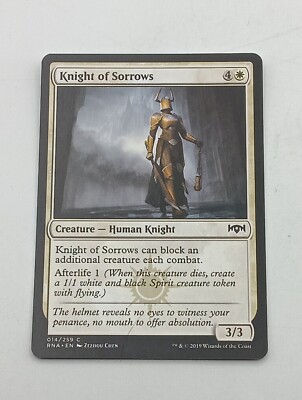Magic the Gathering Einzelkarte Knight of Sorrows bespielt