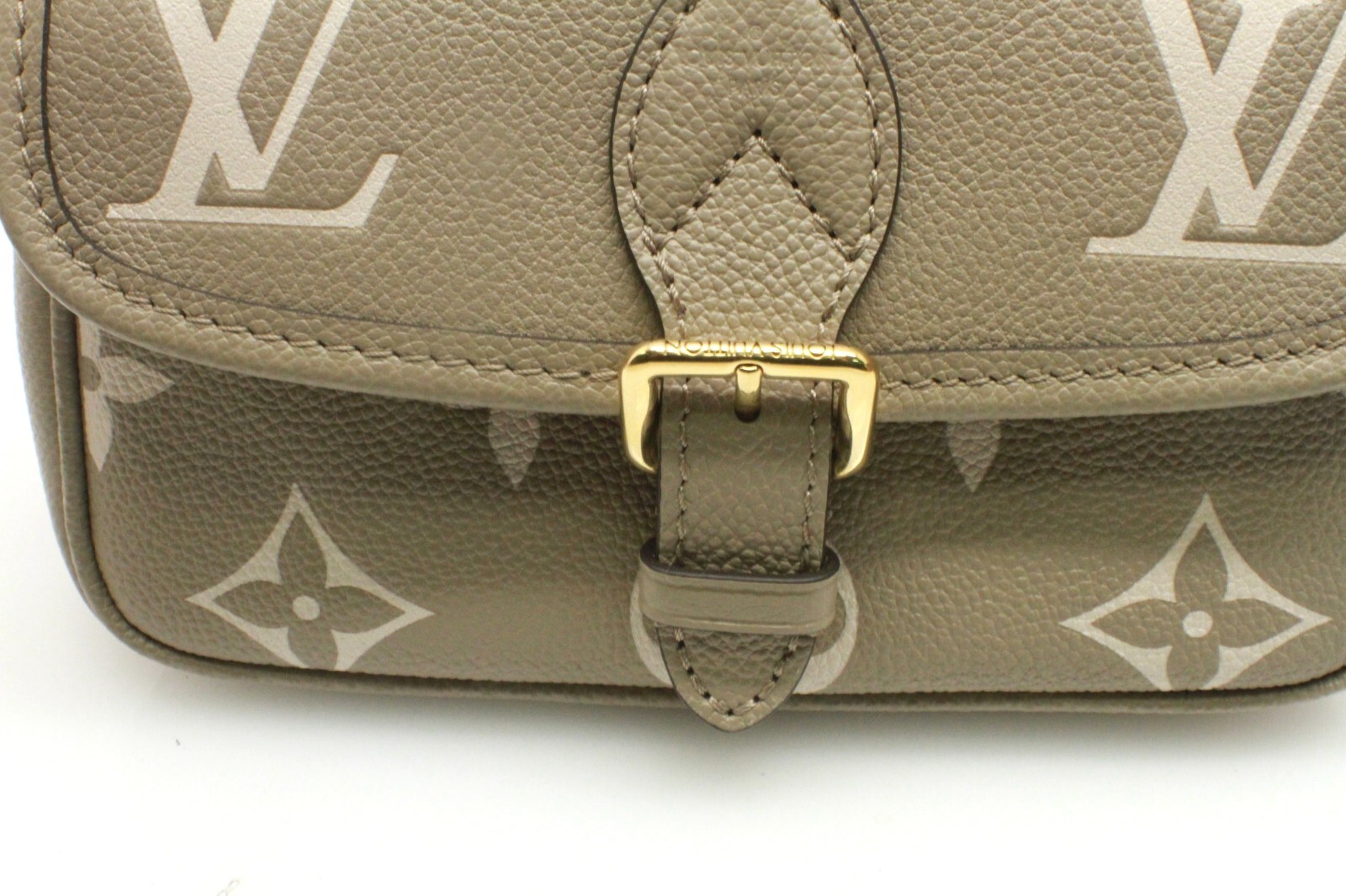 Louis Vuitton Nano Diane Bicolor Monogram Empreinte Leather Shoulder Bag Beige image 5