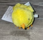 Bild 8 von 11