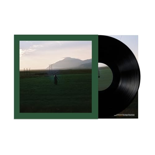 Asgeir - Julia - Vinyl Record 12 Record - G3Z-image