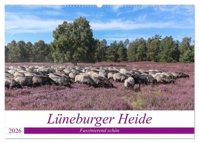 Heike Nack | Lüneburger Heide - Faszinierend schön (Wandkalender 2026 DIN A2...