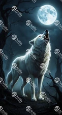 Digital image picture photo White Wolf Howling at Full Moon Digital Art
